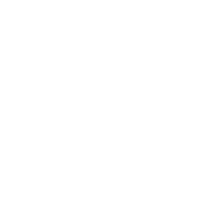 e-Amrti Logo